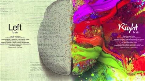 left and right brain.jpg