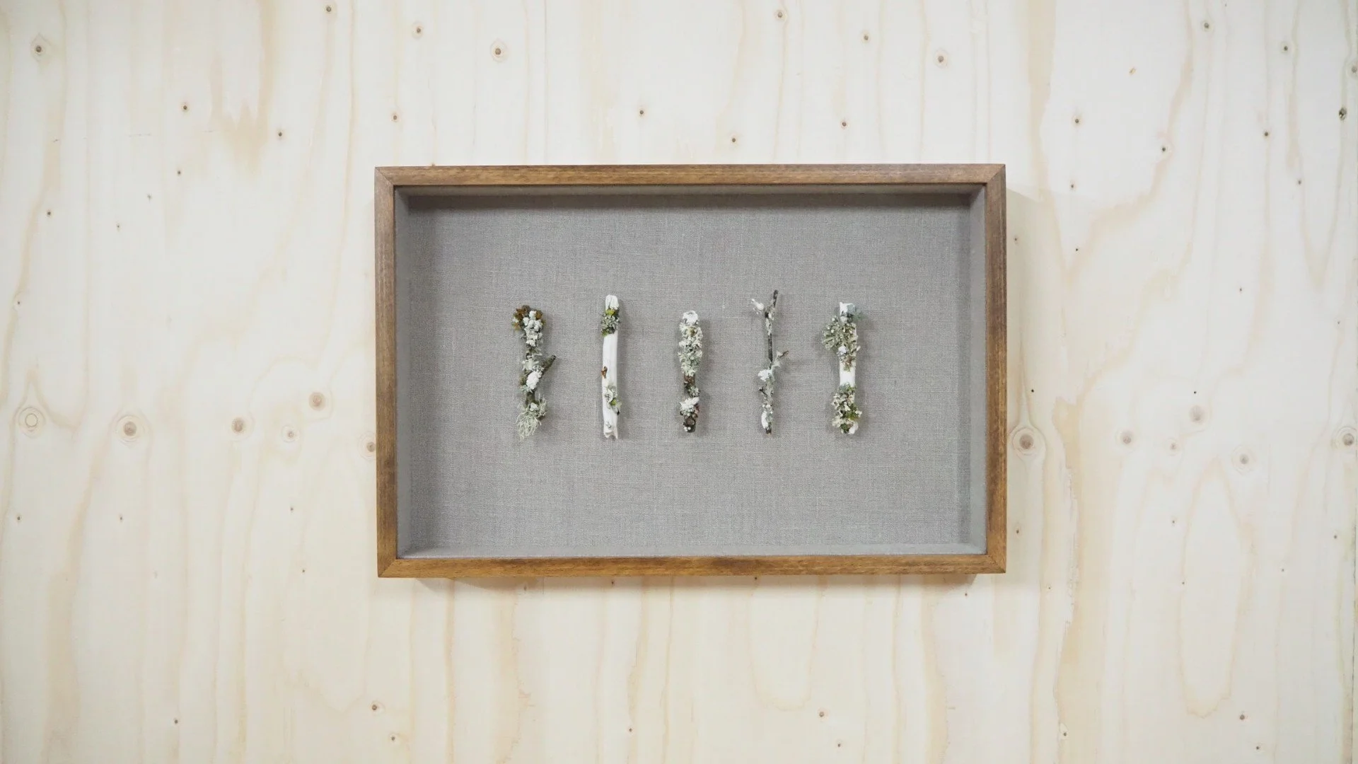 P7050126 (Large).JPG