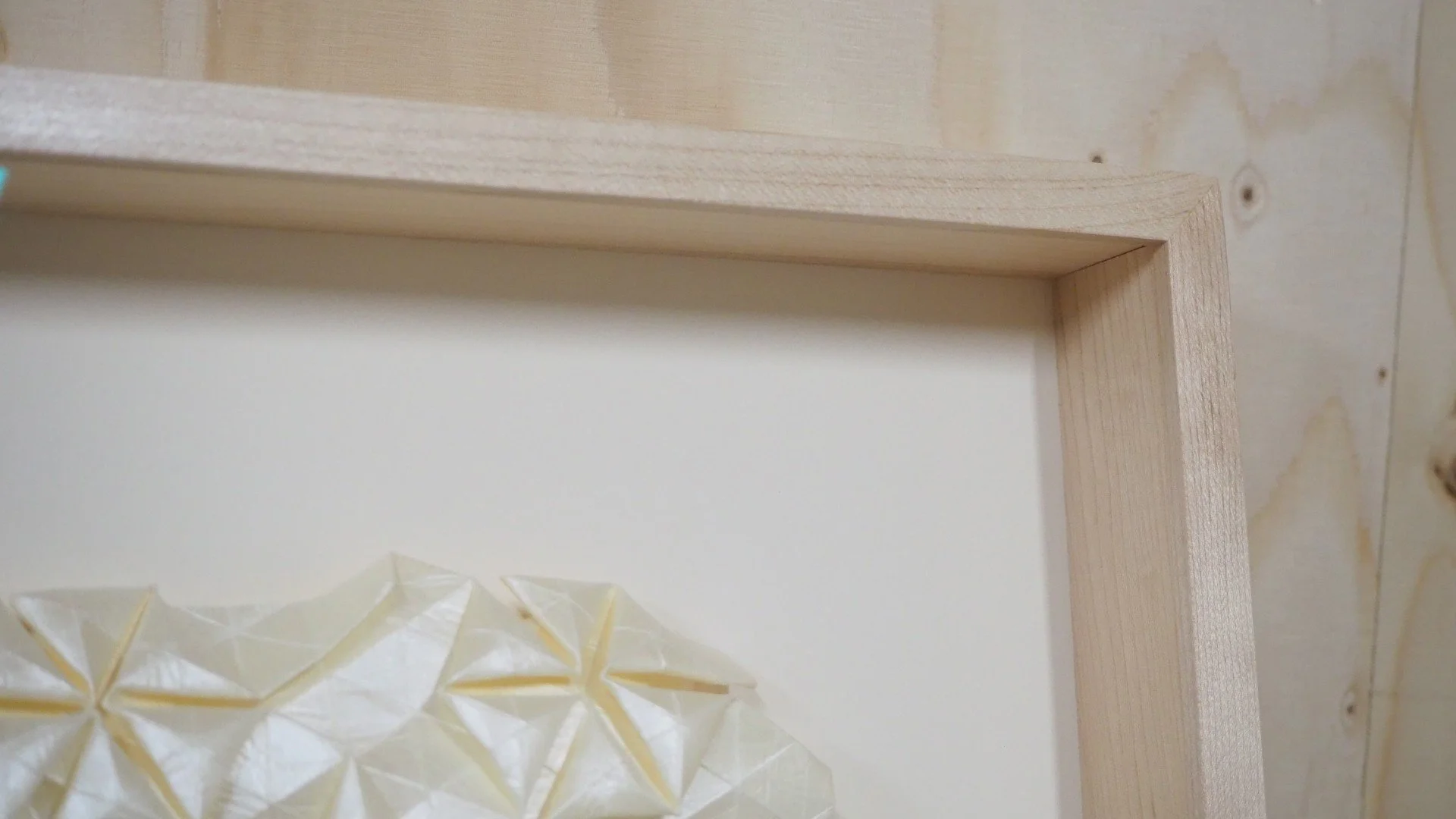 PB120703 (Large).JPG