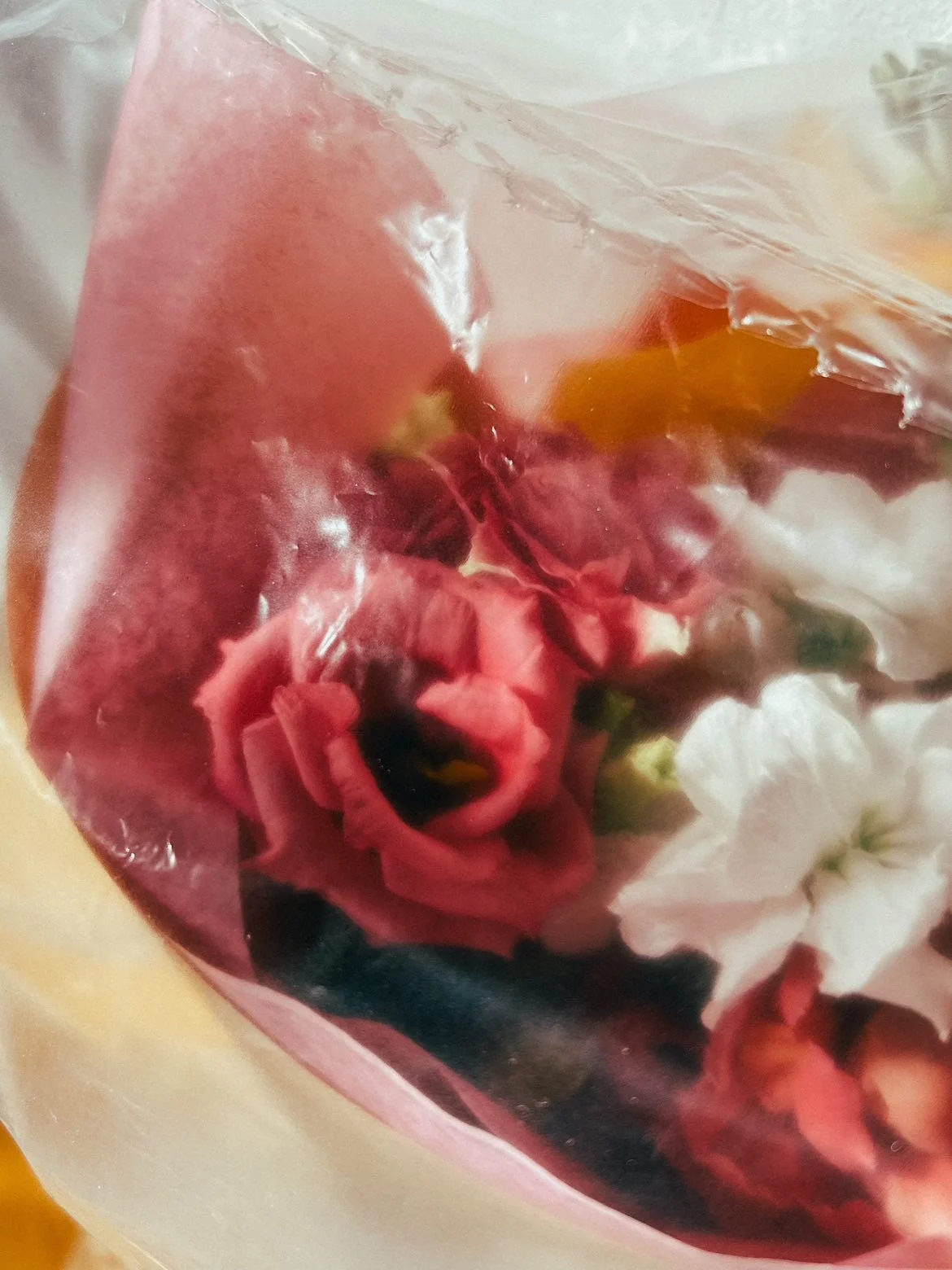 Gift the Cycle Syncing Masterclass