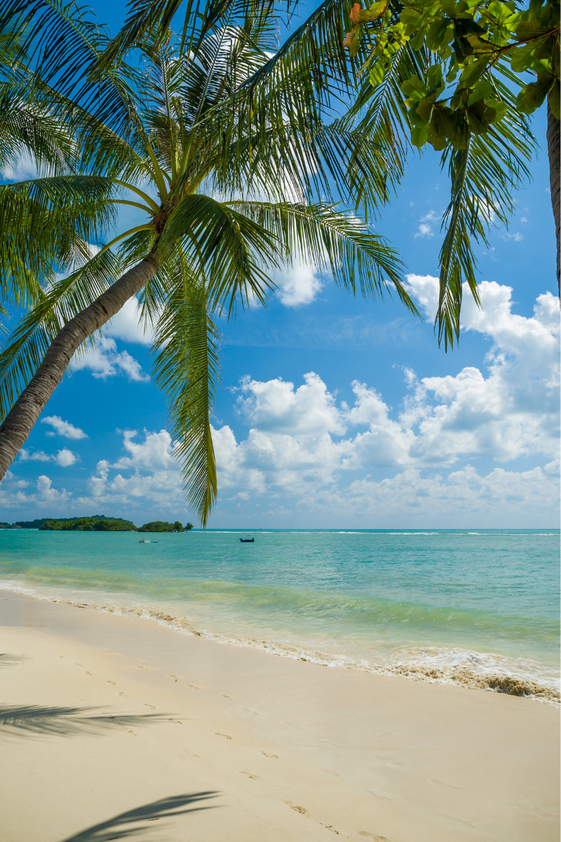 The Ultimate Pre-Vacation Skincare Guide for a Summer Glow