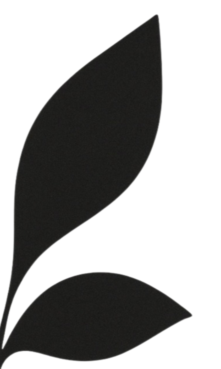 Close-up of a black, abstract shape resembling two leaves or petals with smooth curves.