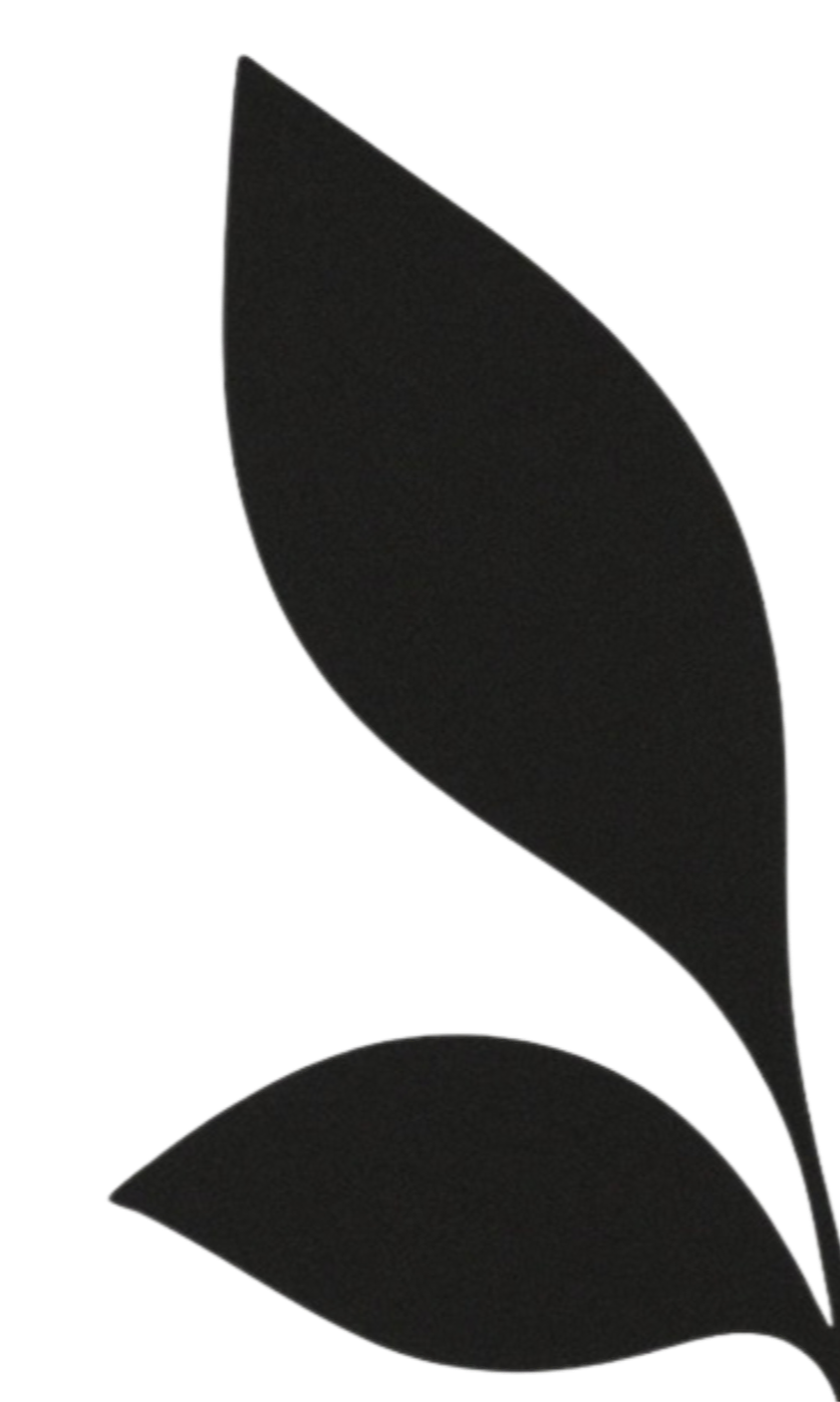 Minimalist black and white floral silhouette with two leaves and a stem.