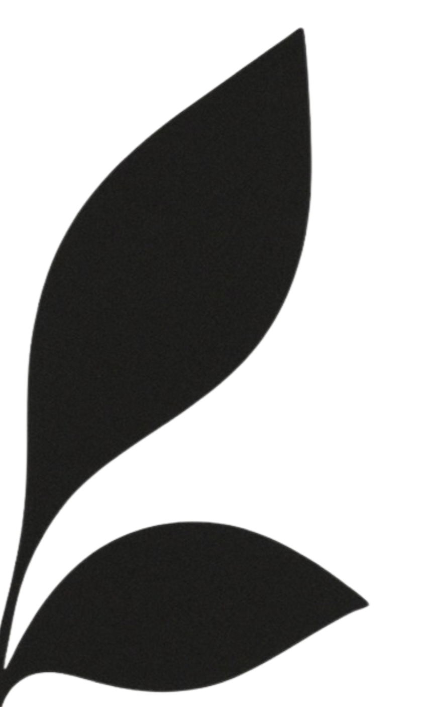 Two black stylized leaves, one above the other, on a transparent background.