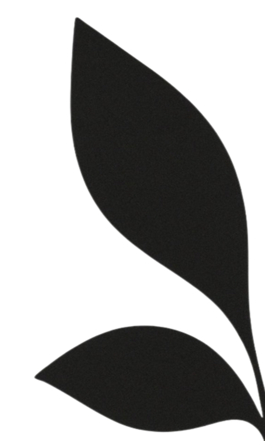 Black silhouette of two leaves with curved edges.