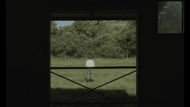 Stallets Tystnad (DoP)