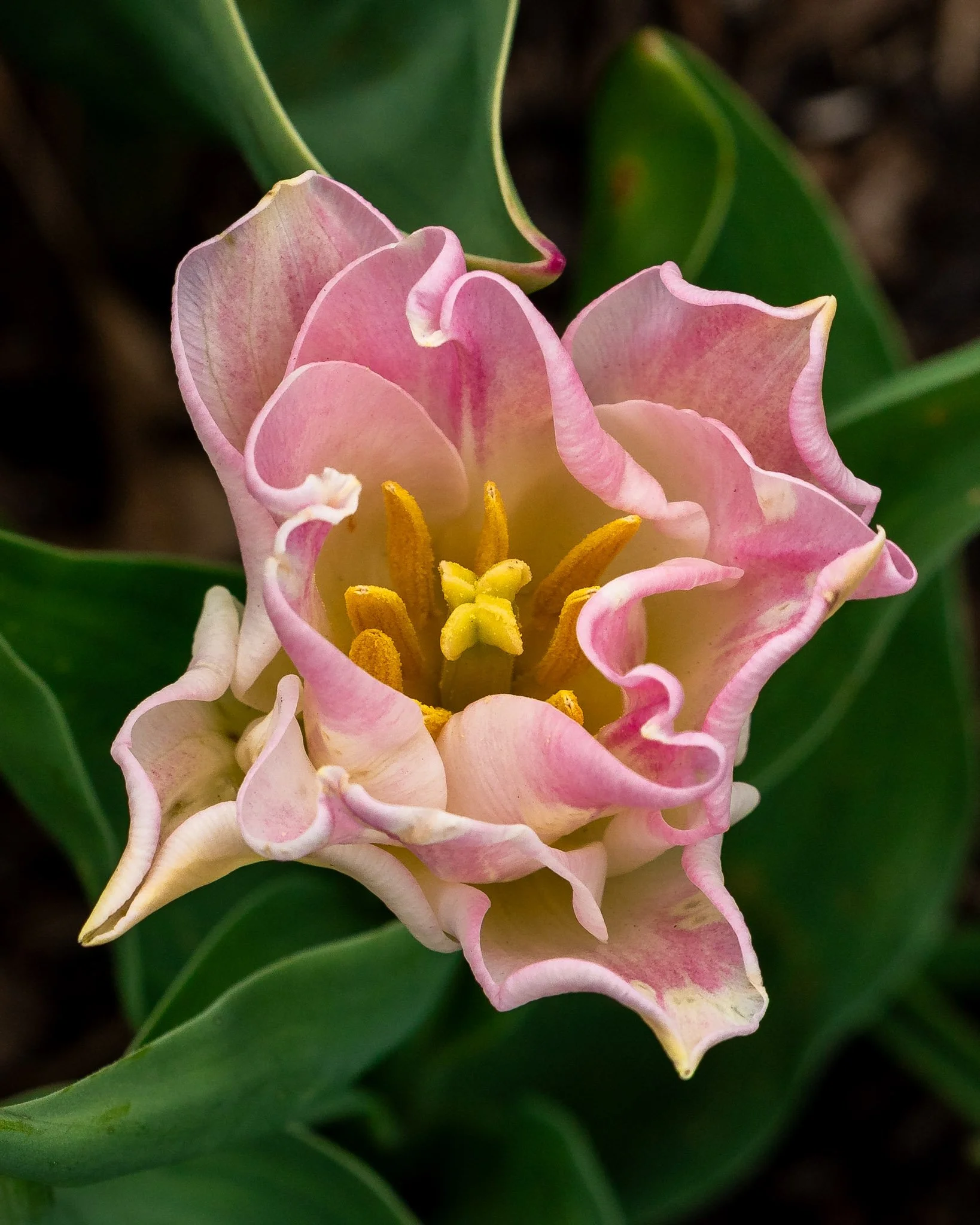 DSC08108.jpg