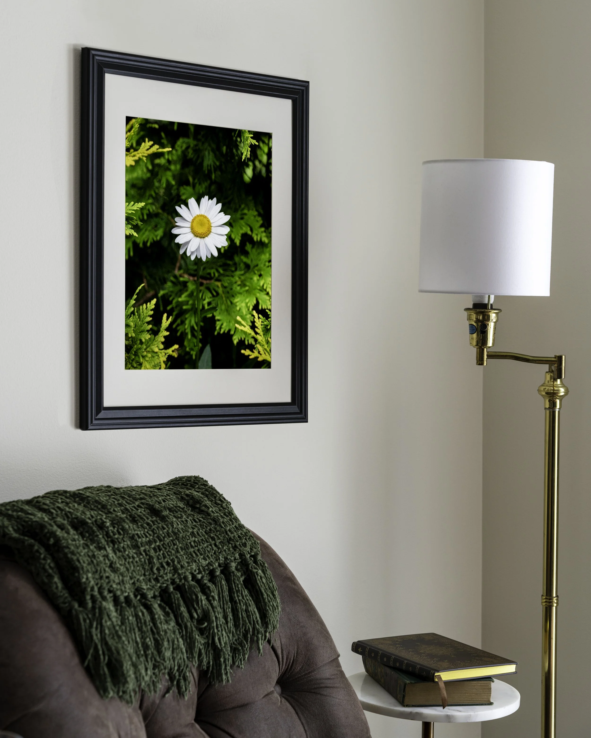Vertical Mock Up Daisy in the Evergreens.jpg