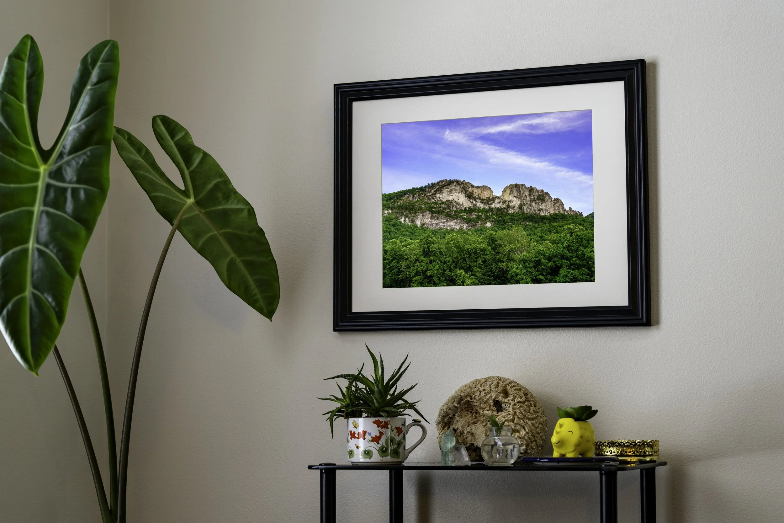 Horizontal Mock Up Seneca Rocks.jpg