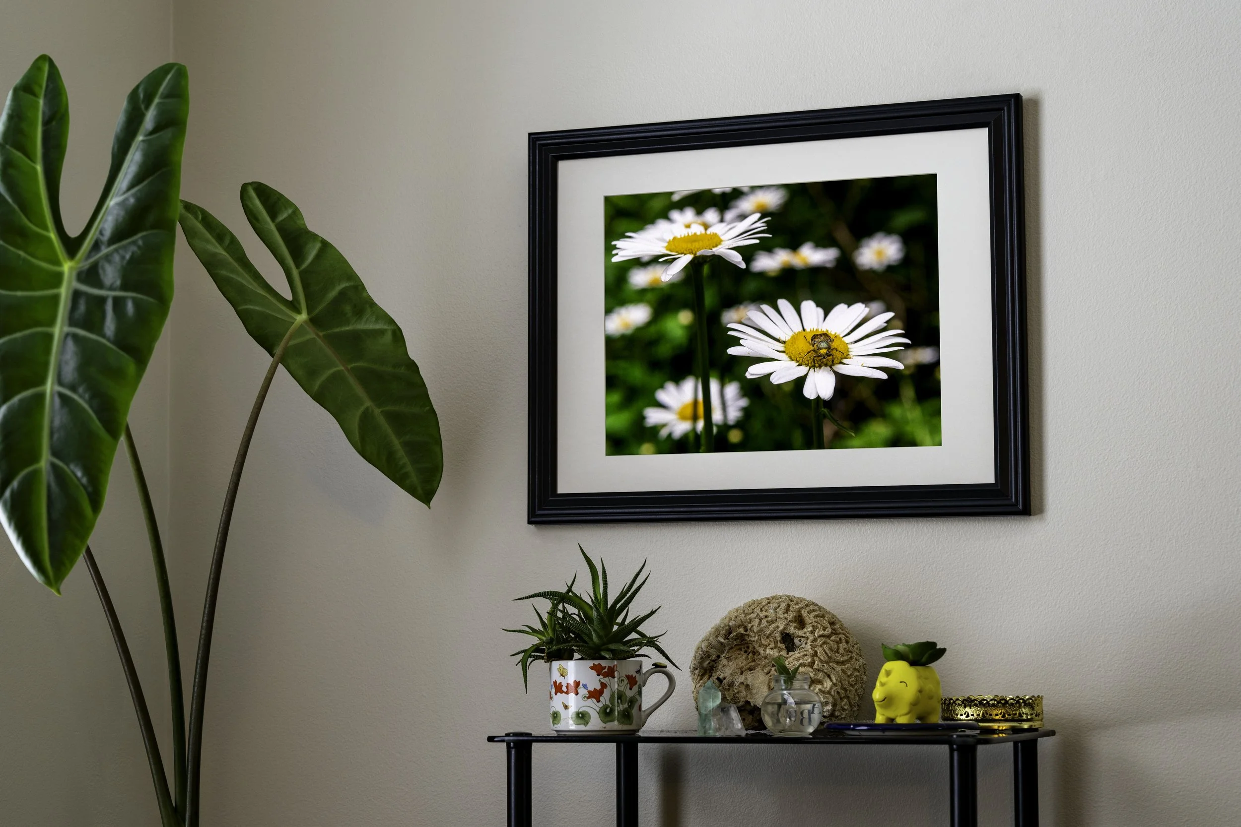 Horizontal Mock Pollinator's Paradise.jpg