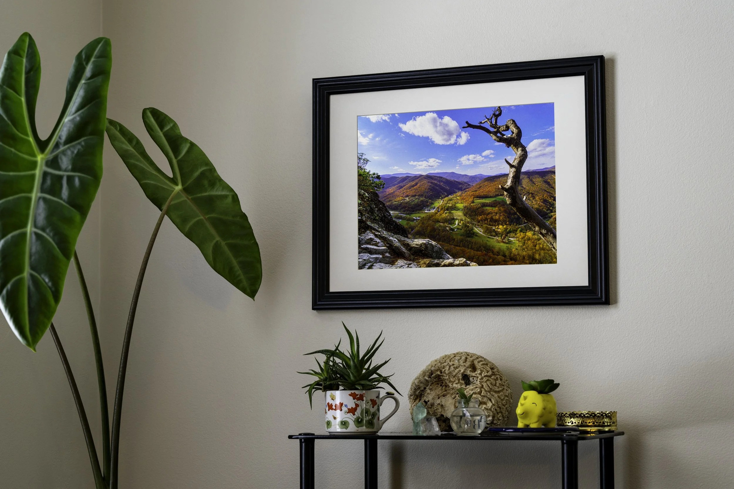 Horizontal Mock Up NFRV.jpg