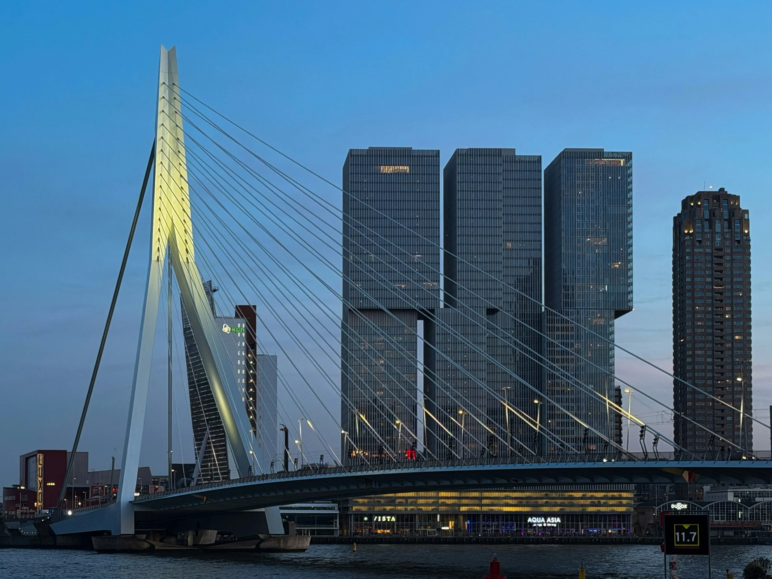 Rotterdam's Office Market Is Changing. And the City Is Changing With It.
