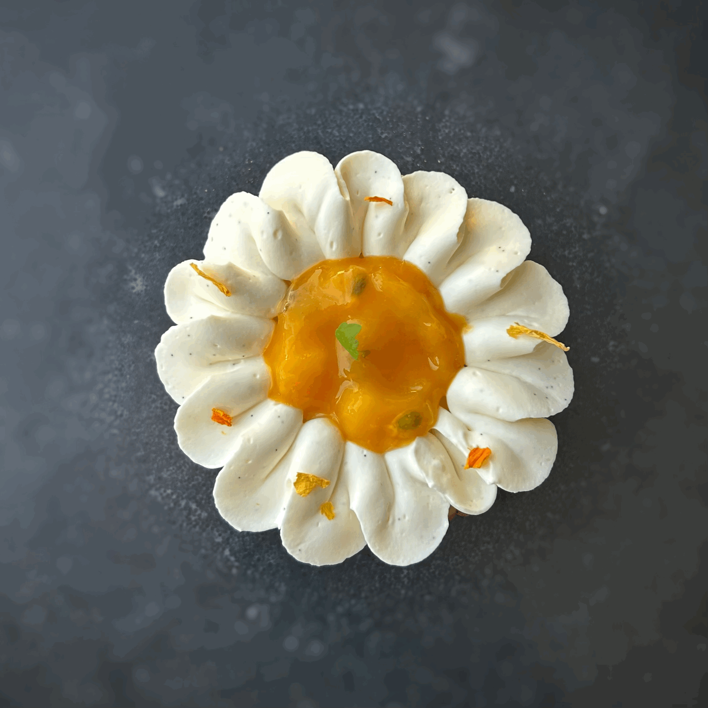 tempImageWwTZOH.gif