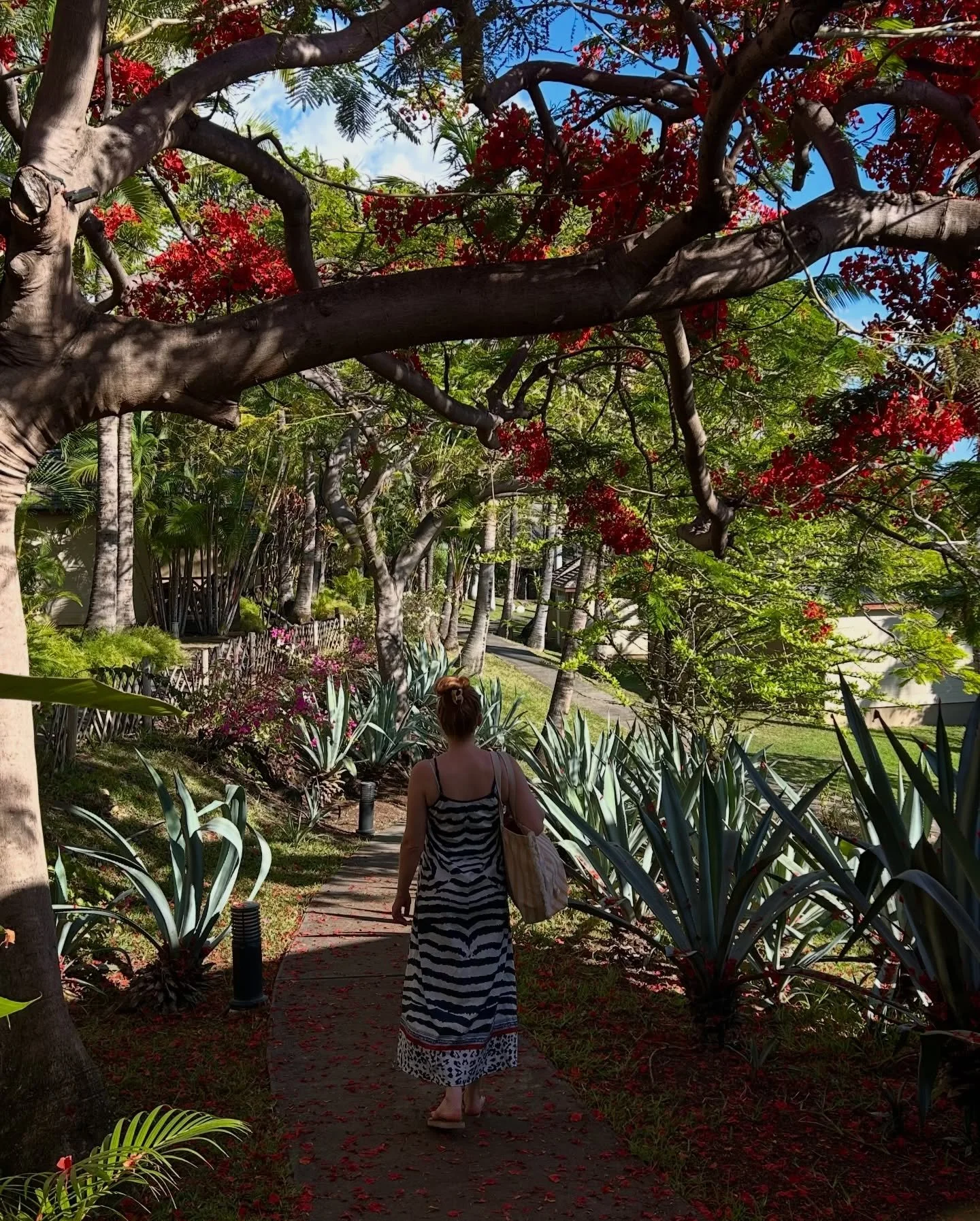 souvenirs 🥥🌞🌴💛🌊🌺🇷🇪