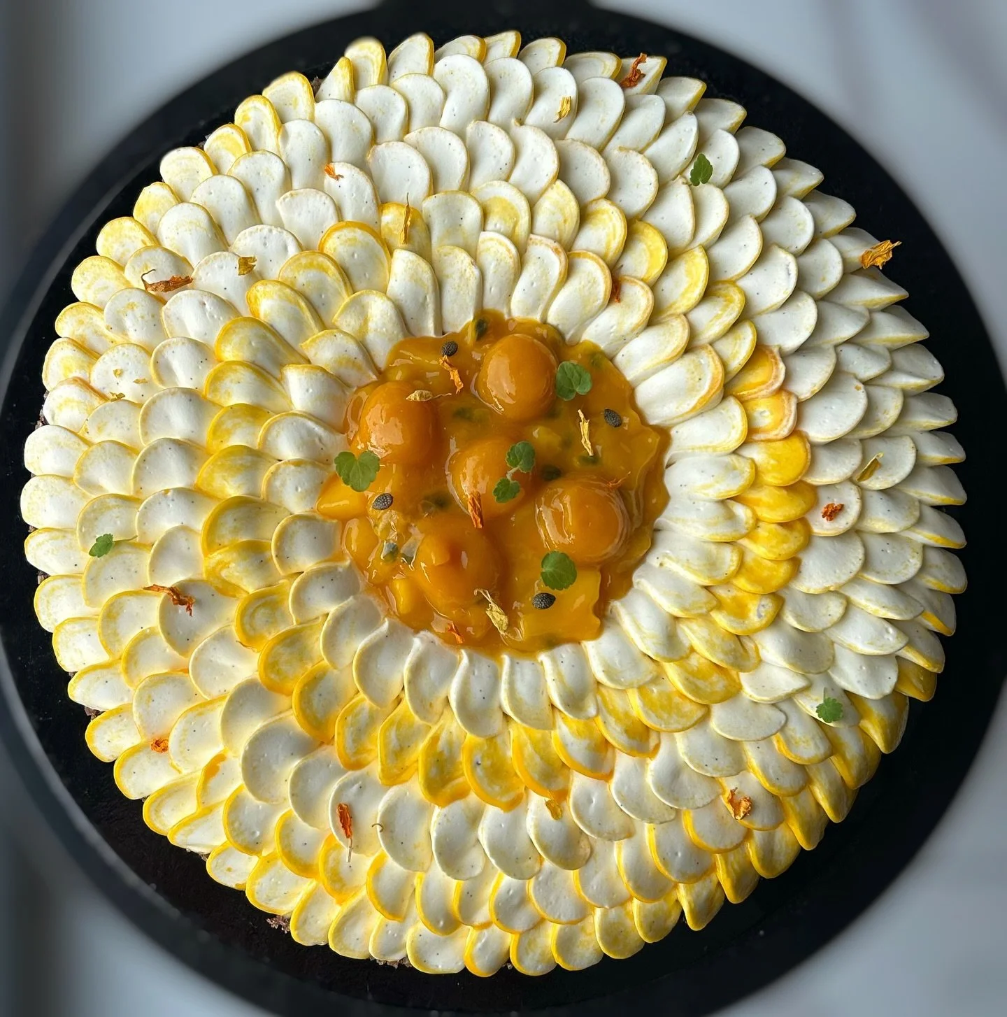 SOLEIL EXOTIQUE 🌞🌴

pate sucr&eacute;e, cr&egrave;me d&rsquo;amande, confit exotique, mangue et fruits de la passion, cr&eacute;meux passion, ganache mont&eacute;e vanille marbr&eacute;e de confit exotique 💛

dernier week end pour la commander ! 
