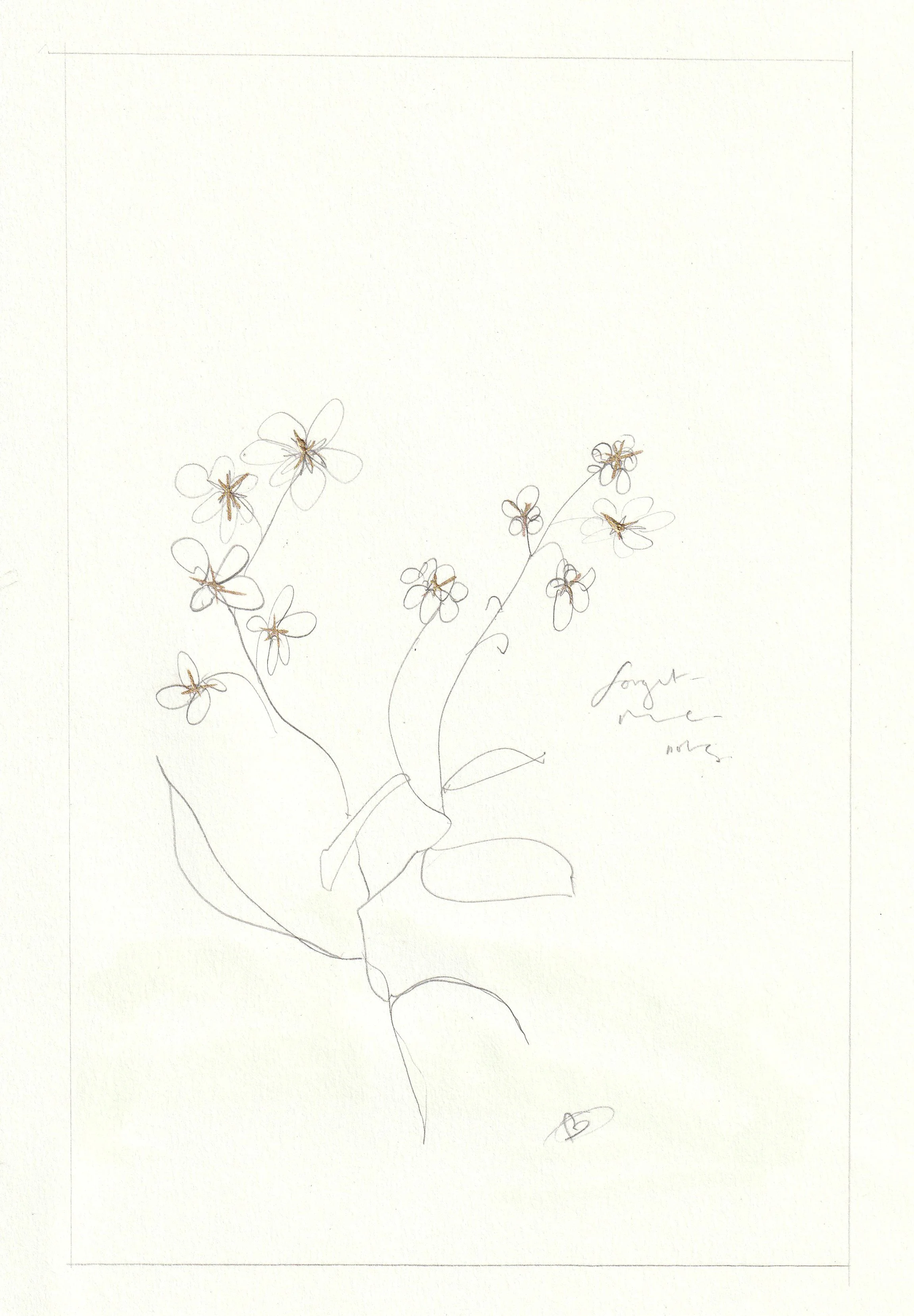 forget me nots.jpg