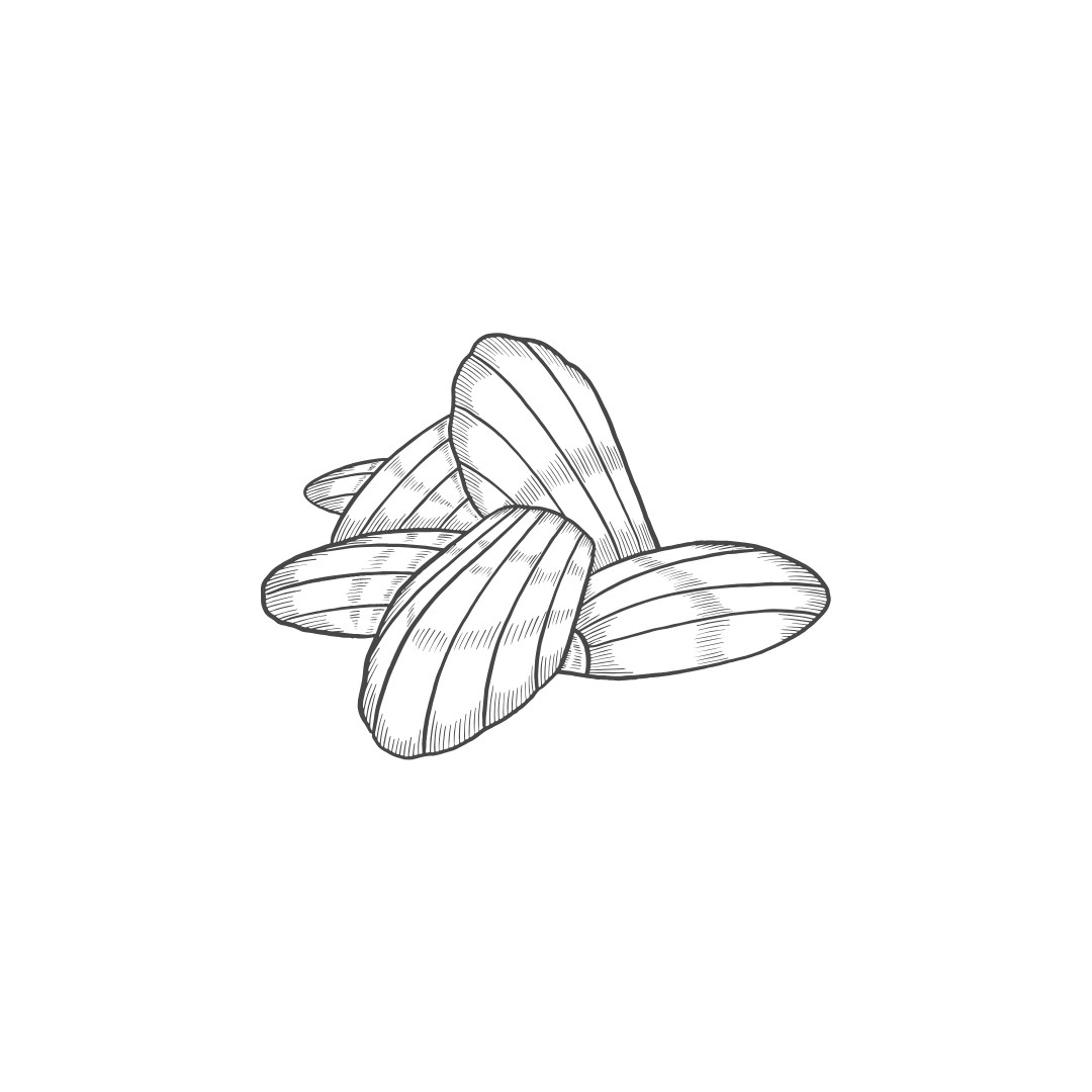 Illustration d'une aile de papillon en blanc sur fond noir.