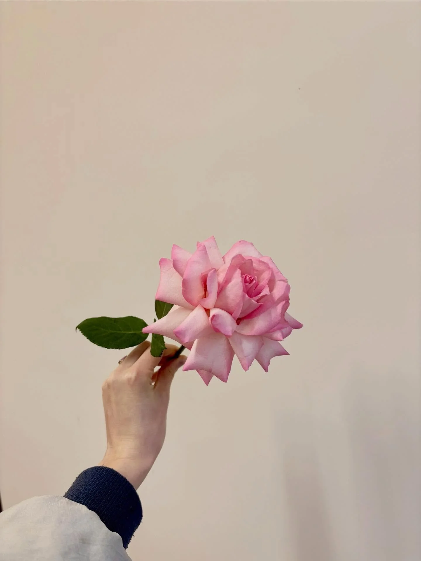 new reflexer unlocked 🥀🔓

#reflexedroses #modernfloristry #londonweddingflorist #stleonardsflorist