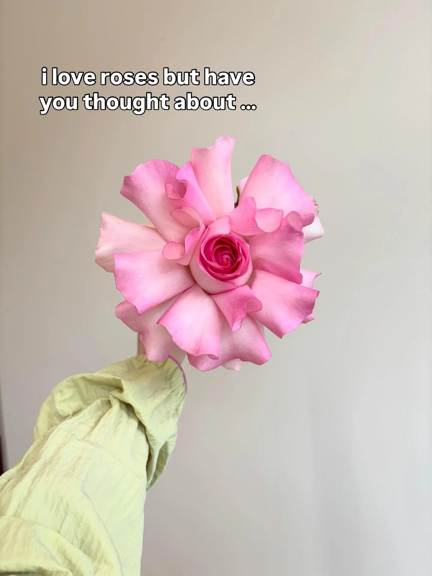 🌸🌷🌼🌺🌻🌹