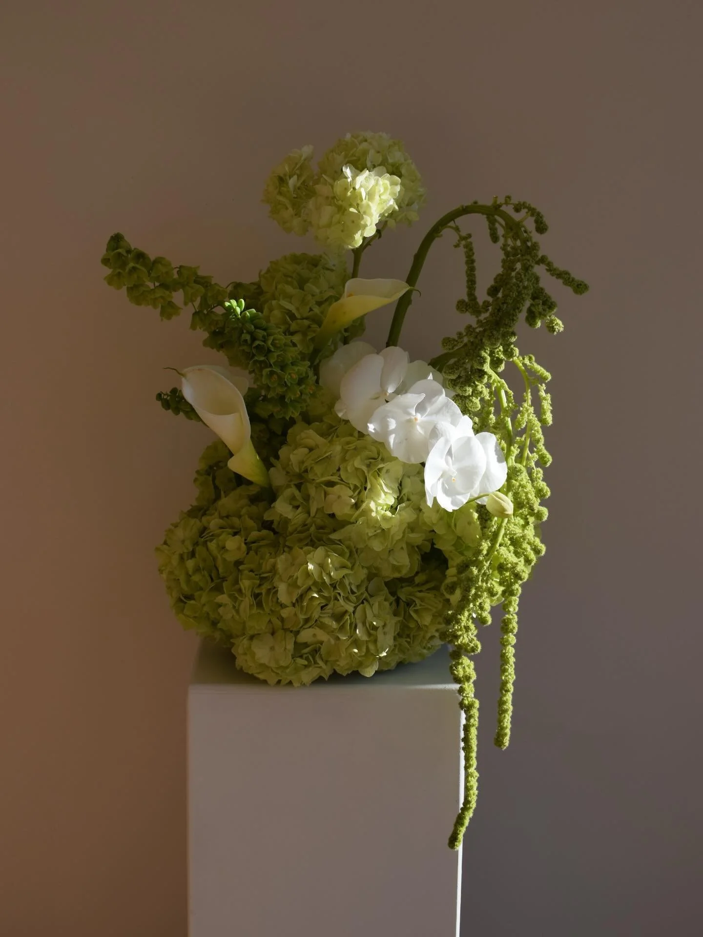 🧚🦎🍵🦢🍏

London wedding florist | floral designer | Sussex wedding florist | wedding flowers | green &amp; white florals