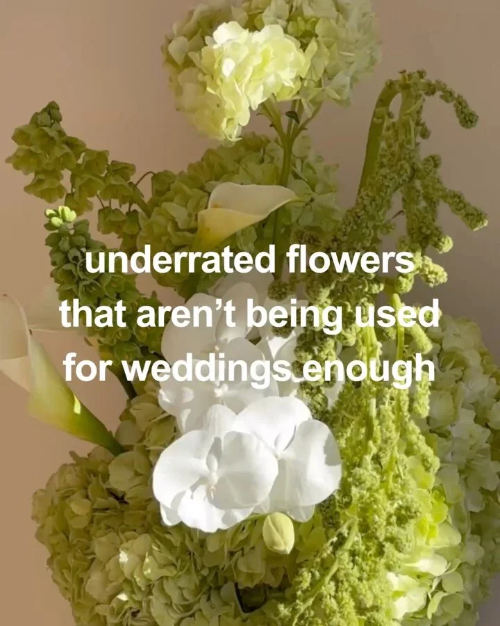 my pick of flowers i wanna see being used in ultra cool &amp; modern wedding floral design more - brassica i&rsquo;m coming for u this year!! 🥬🤍

London wedding florists | Surrey wedding florist | 2027 brides | sussex wedding flowers | LIMEKILN wed