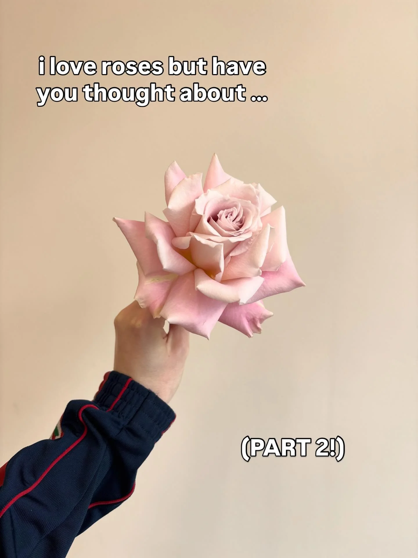 part 2 babyyy 🌷

London florists | wedding flowers | modern floral designer | 2027 brides