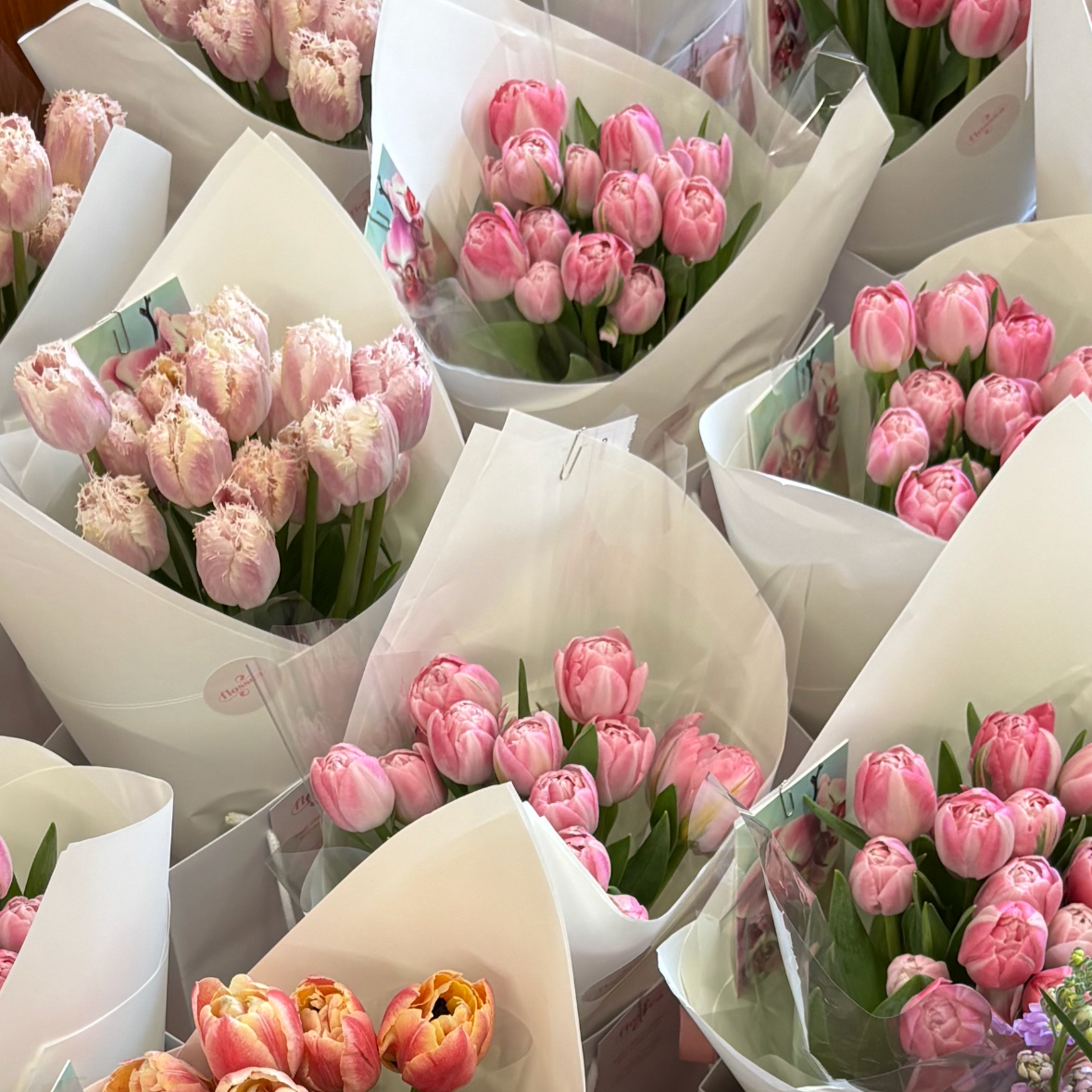 Pink mothers day tulip bouquets for delivery in hastings