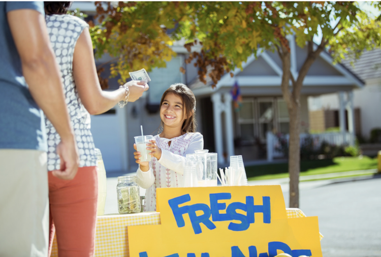 Lemonade Stand or Car Wash