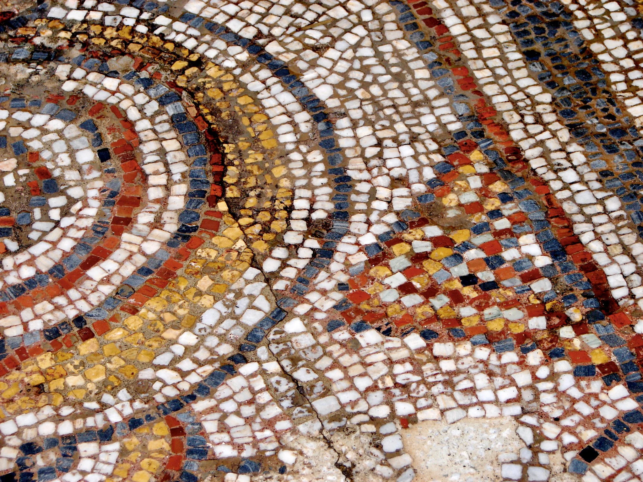 Lisanna travels 504.jpeg