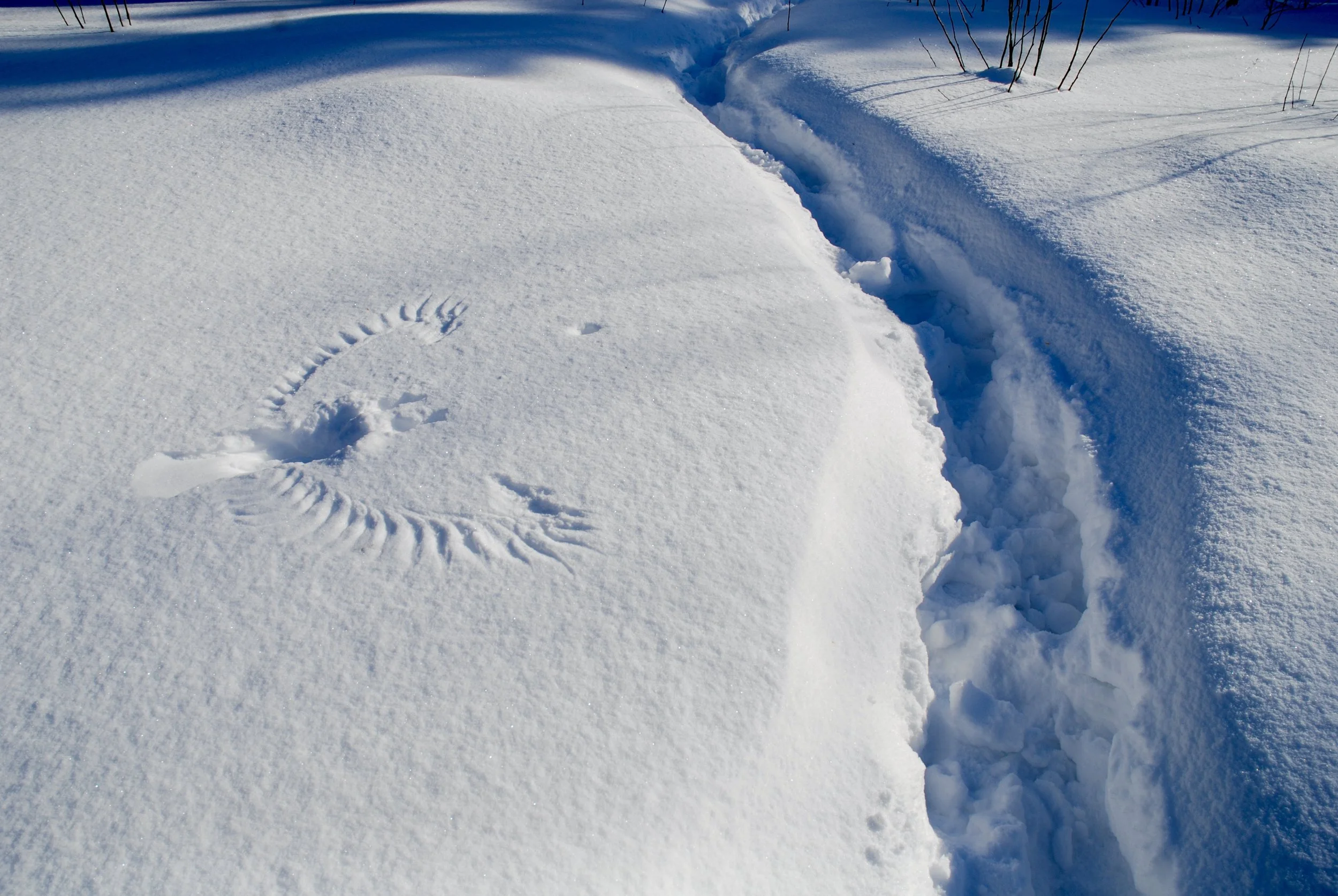 DSC_0080_2_2.JPG