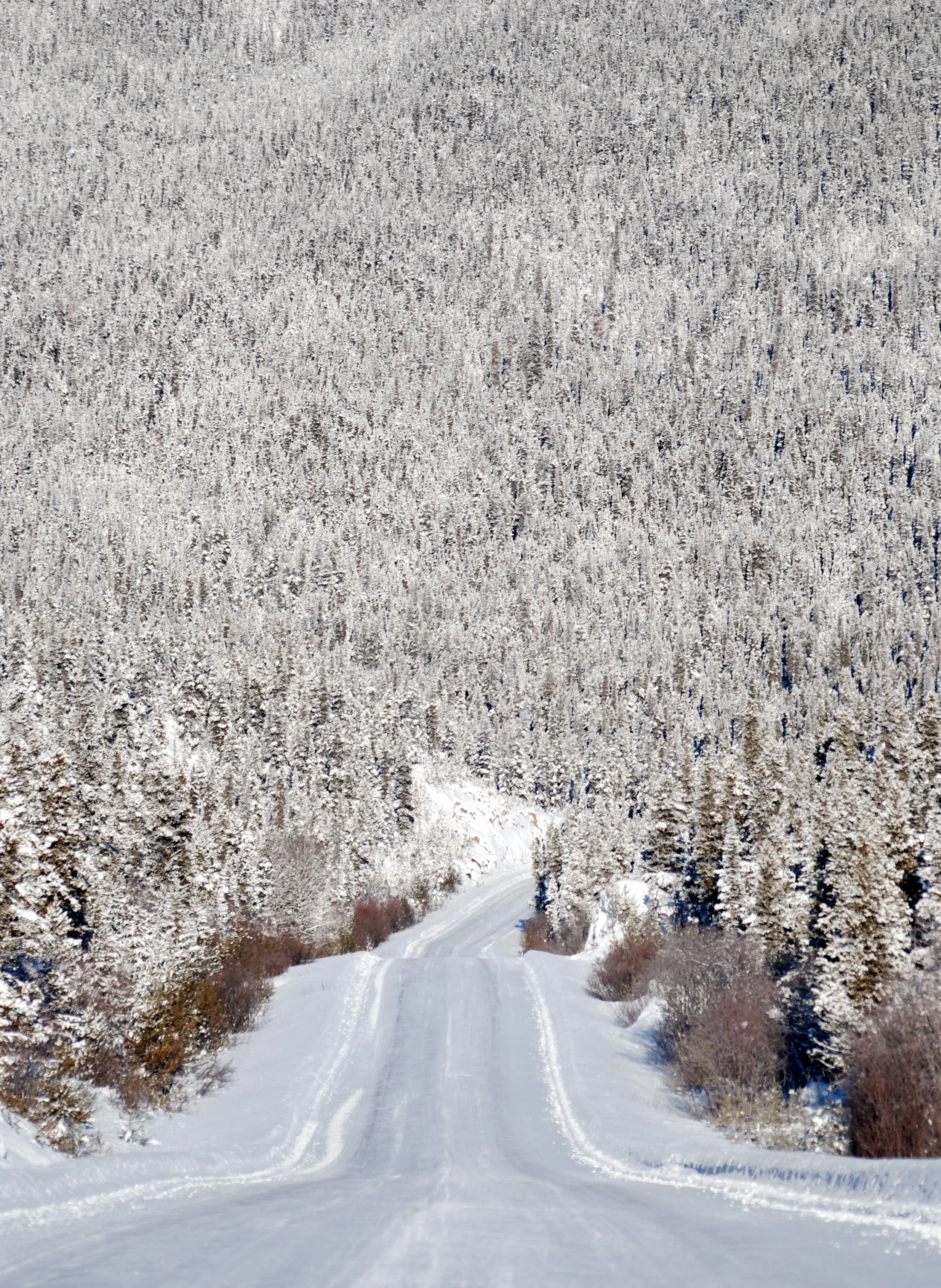 DSC_0149_3.JPG