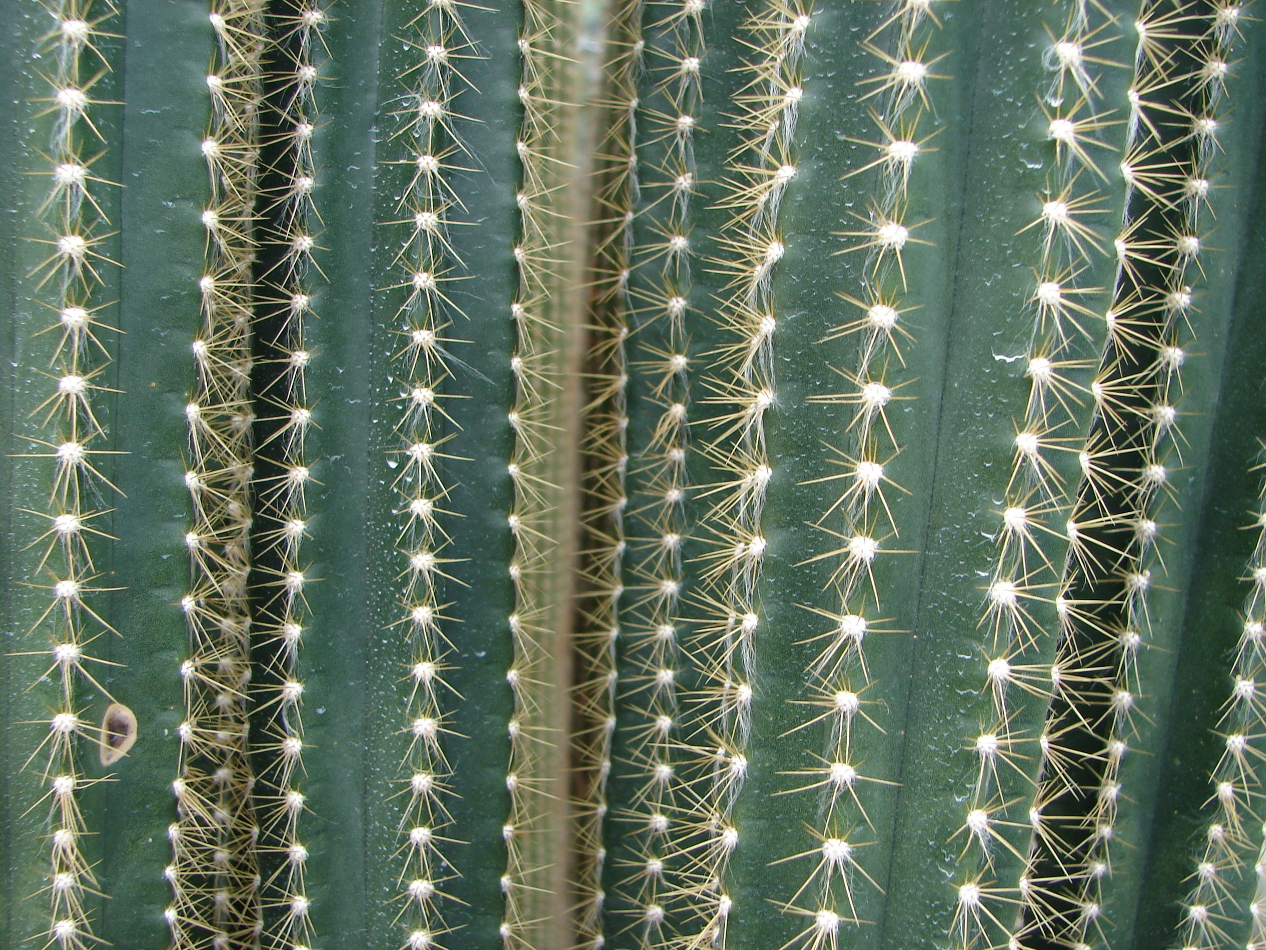 Lisanna travels 091.jpg