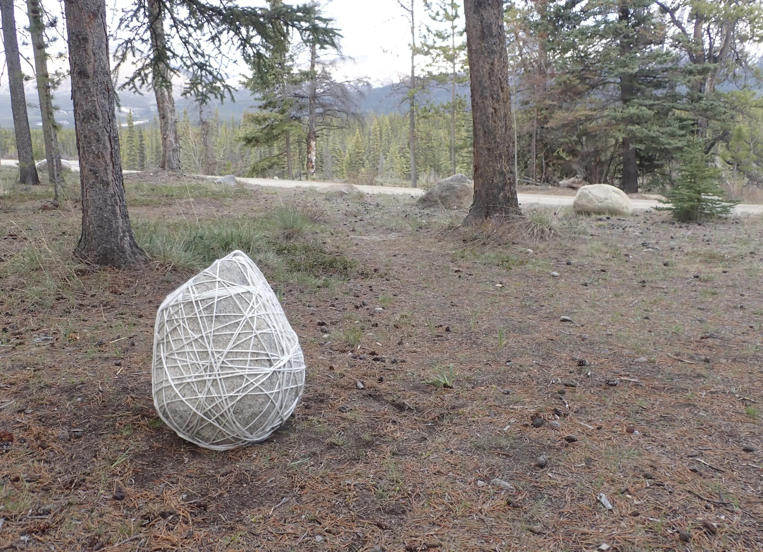 A large rock on the ground wrapped in a white string lattice pattern, situated in a forest with trees and rocks in the background.