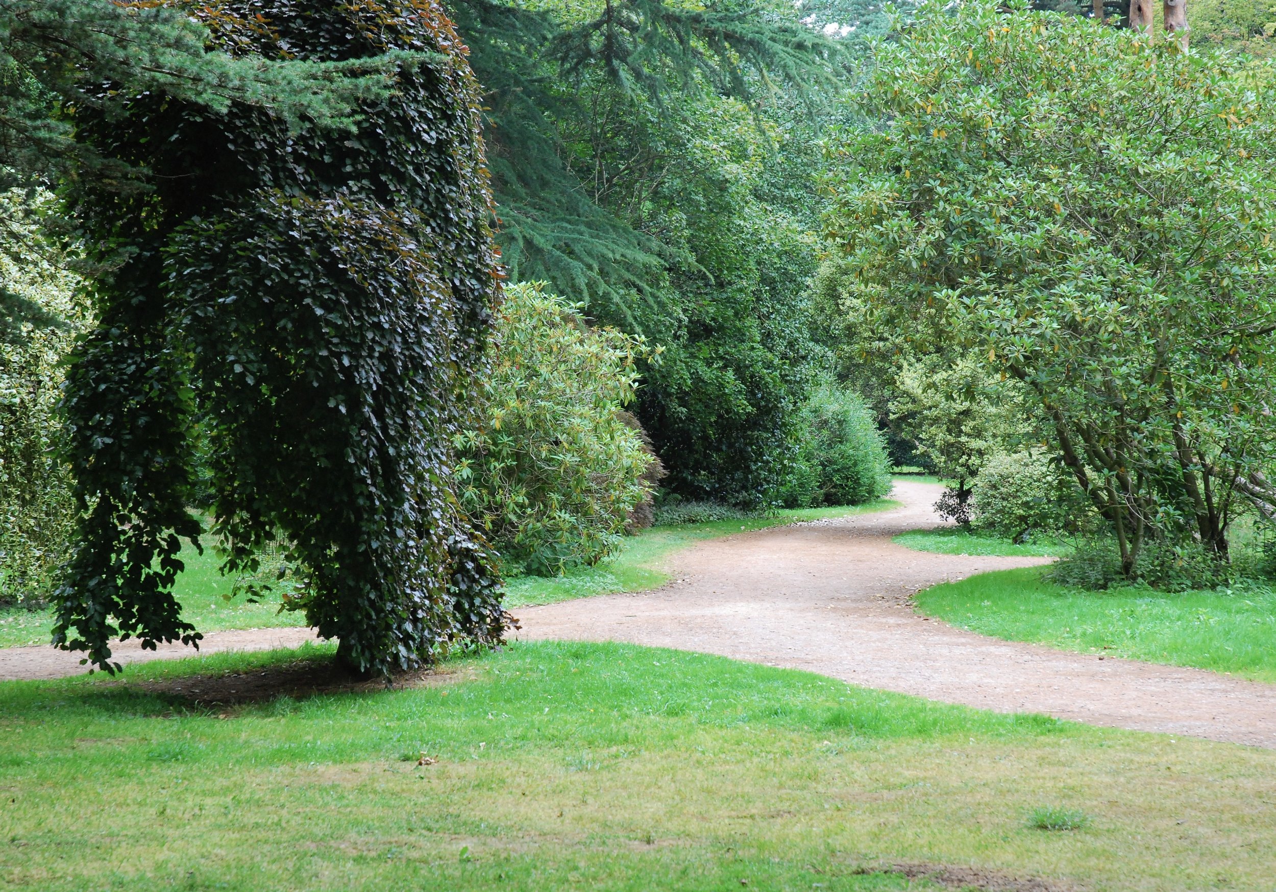 DSC_0029_4.JPG