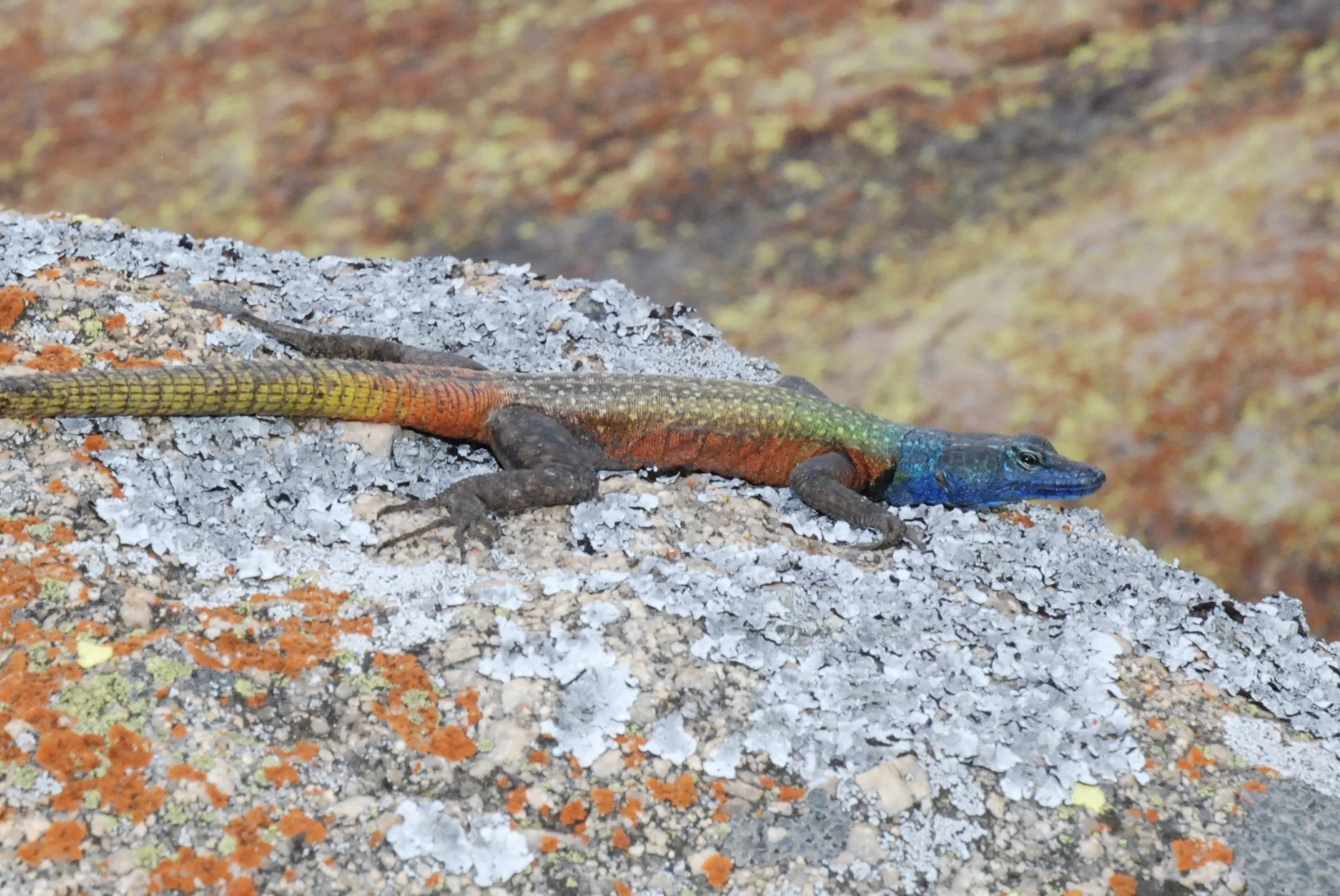 DSC_1309.JPG