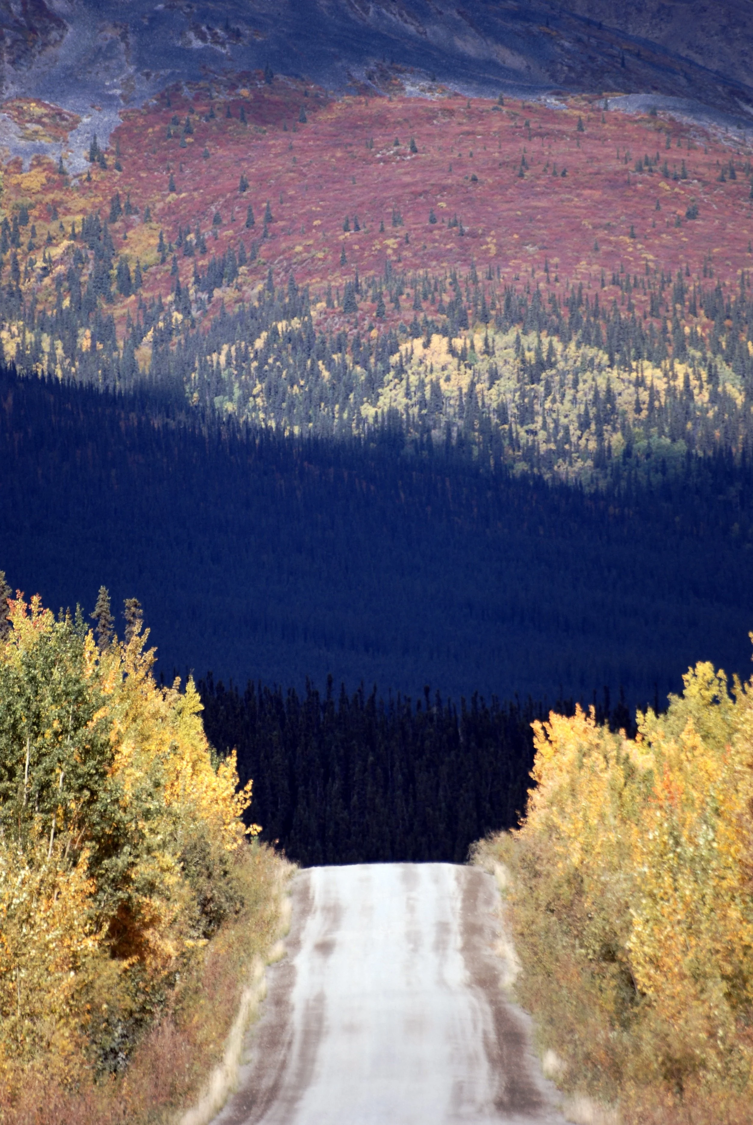 DSC_0385_2.JPG