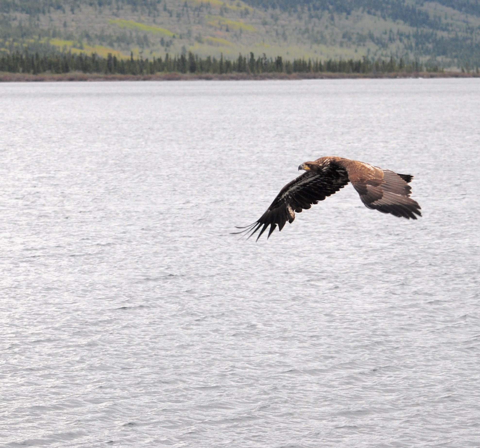 DSC_0123_2_2.JPG