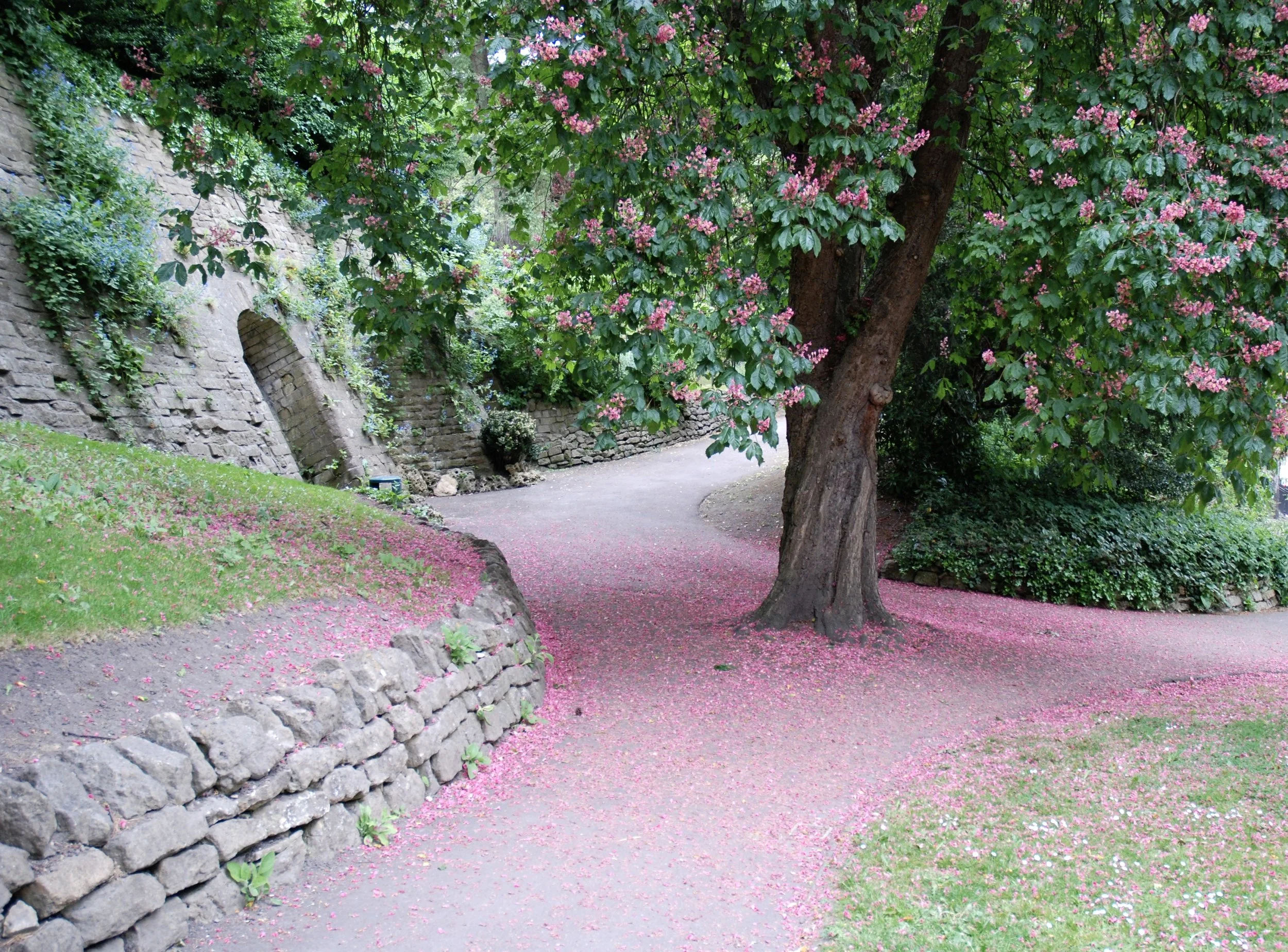 DSC_0054_4.JPG