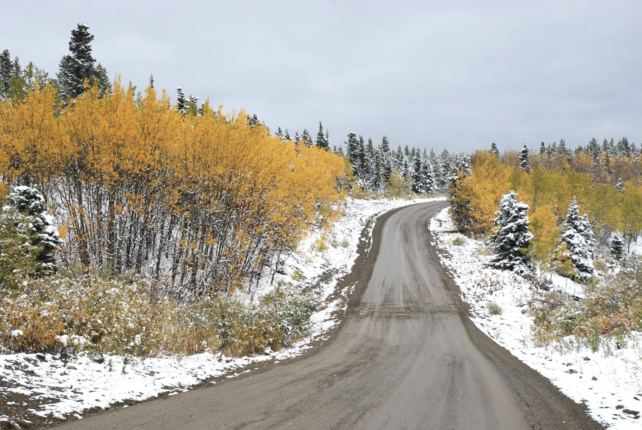 DSC_0154.JPG