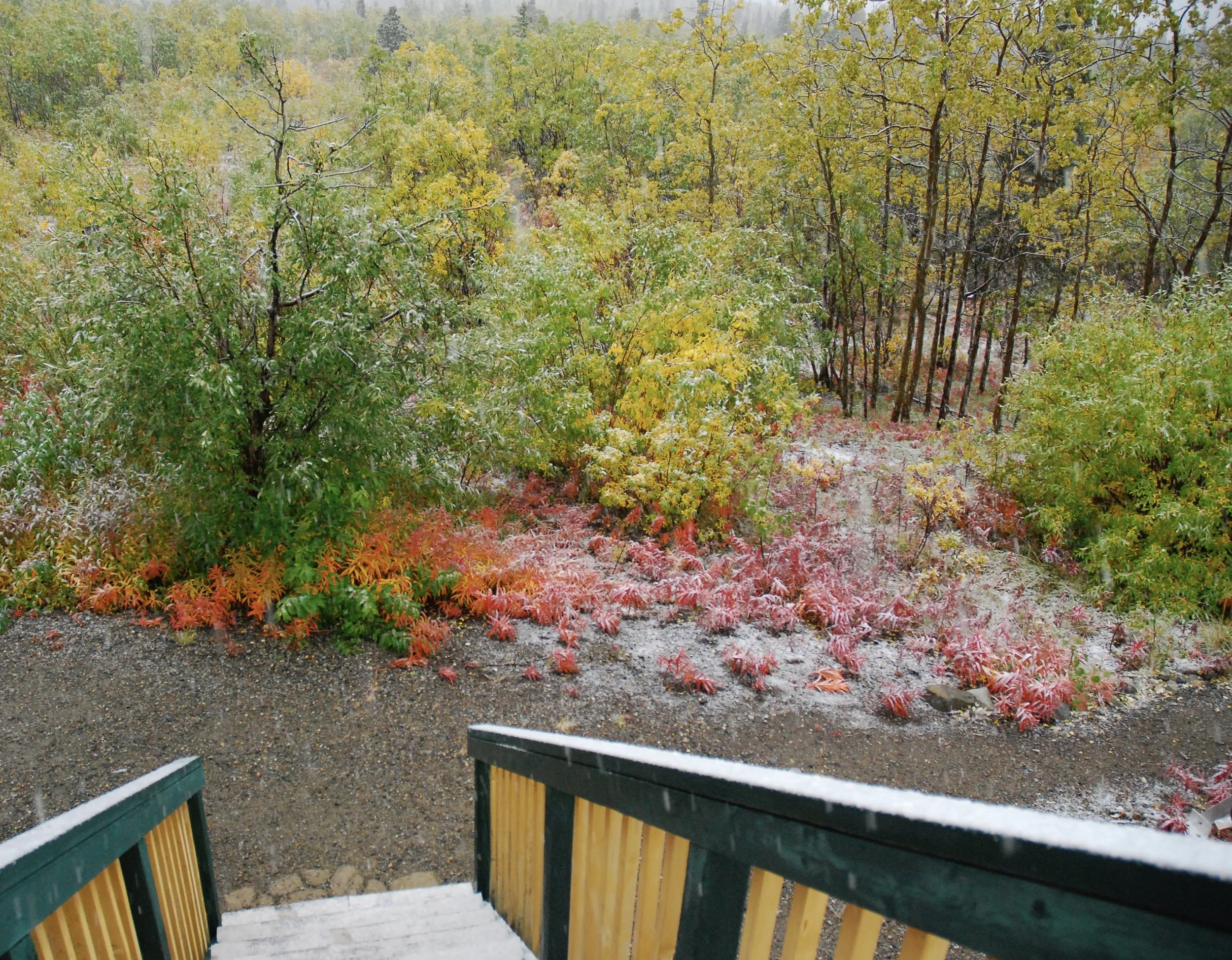 DSC_0007_11.JPG
