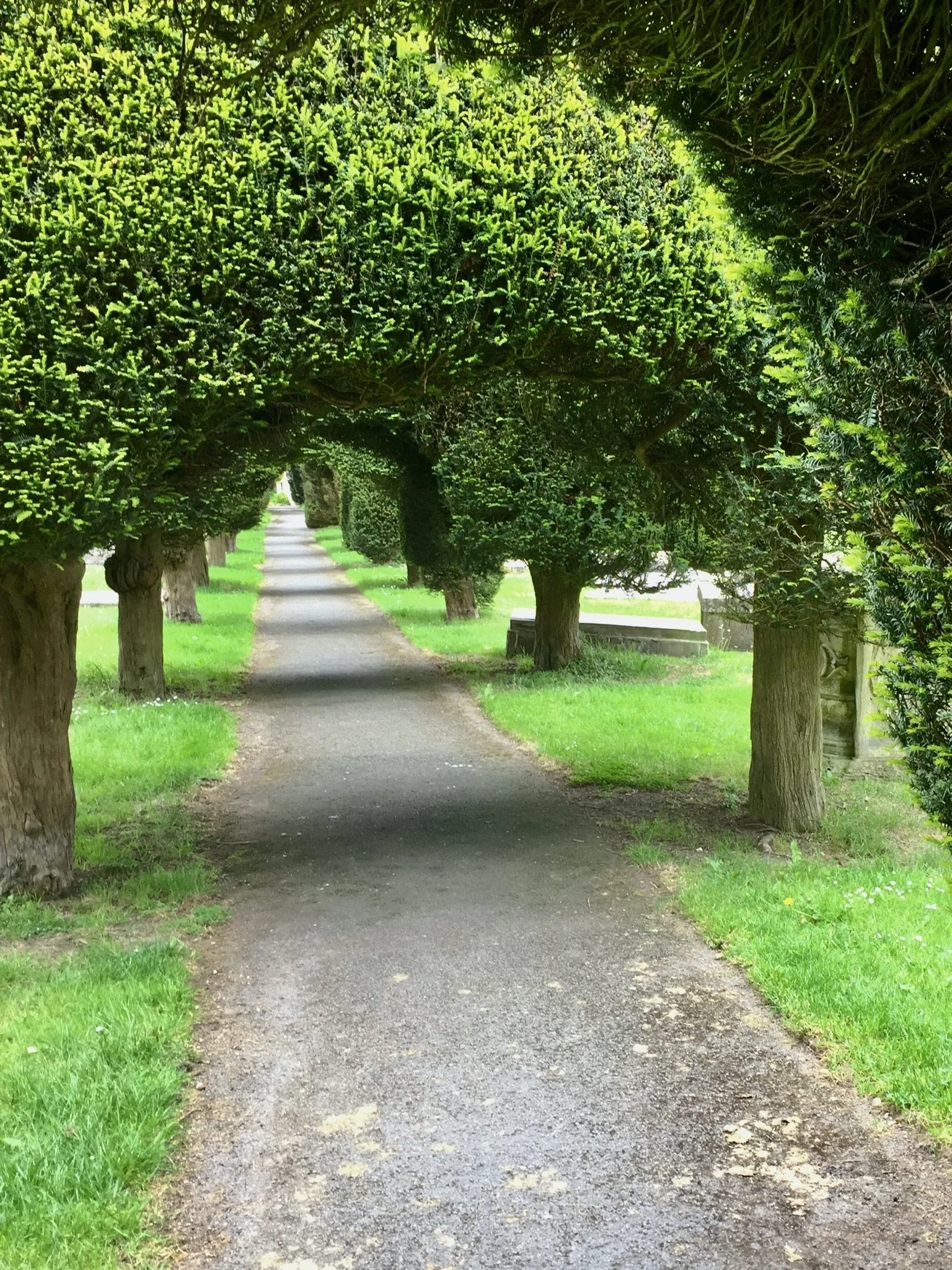 IMG_6011.jpeg