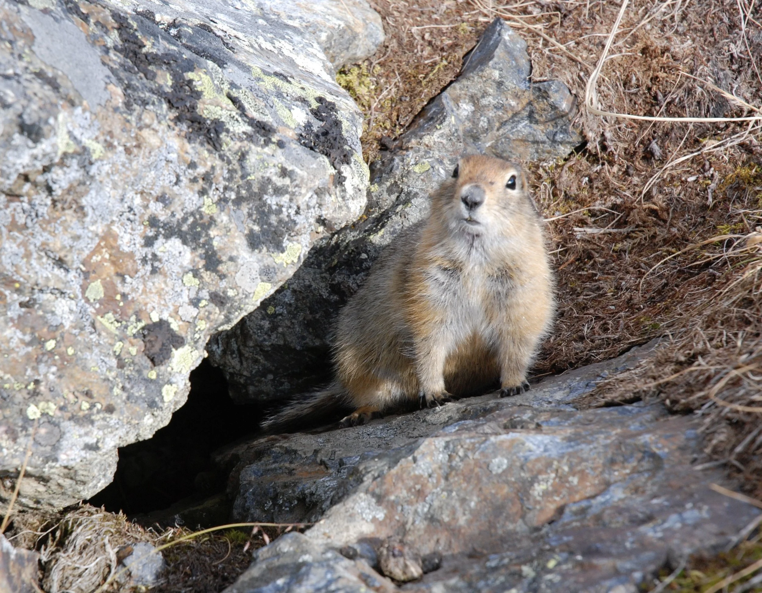 DSC_0118_2.JPG