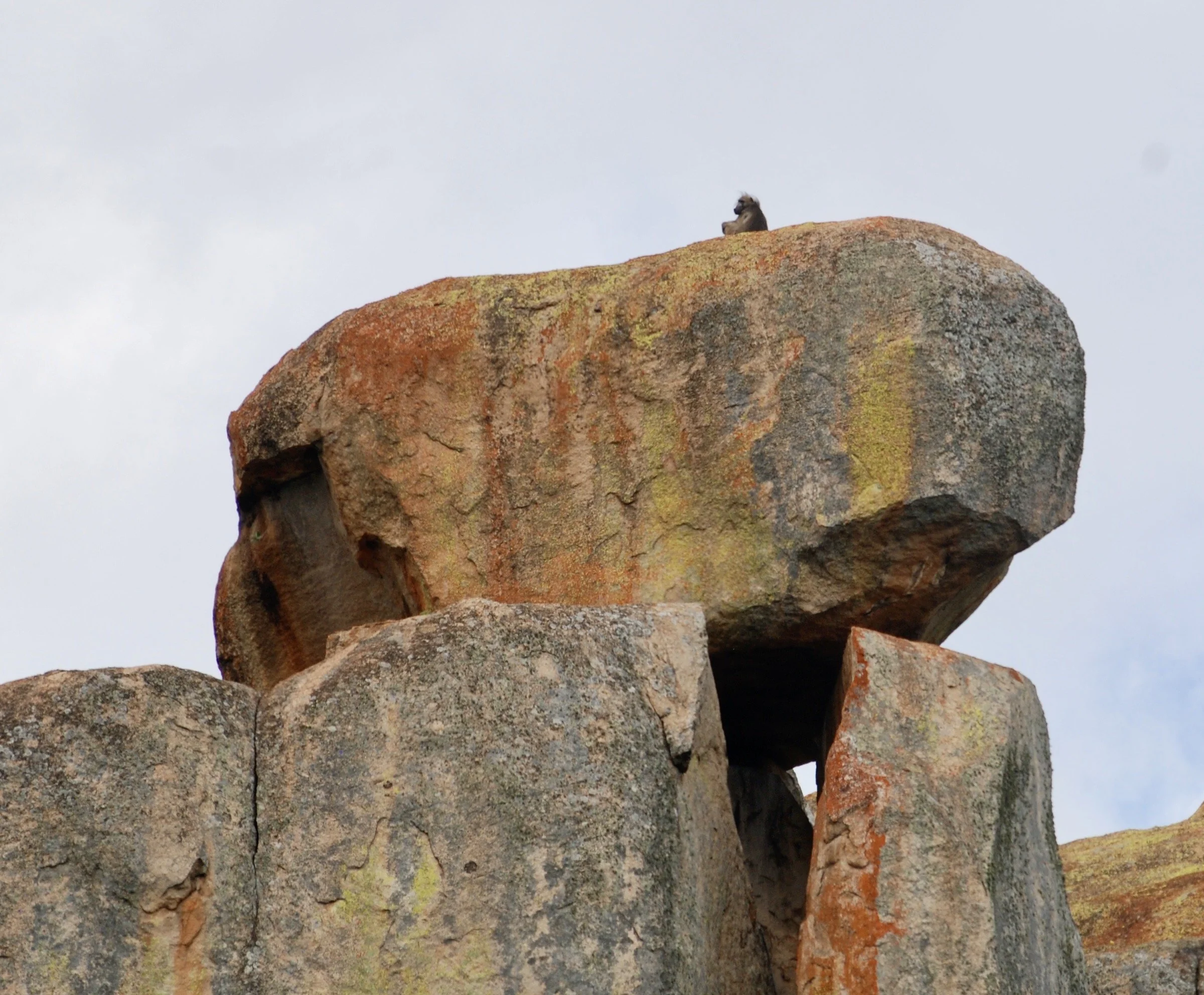 DSC_1217.JPG