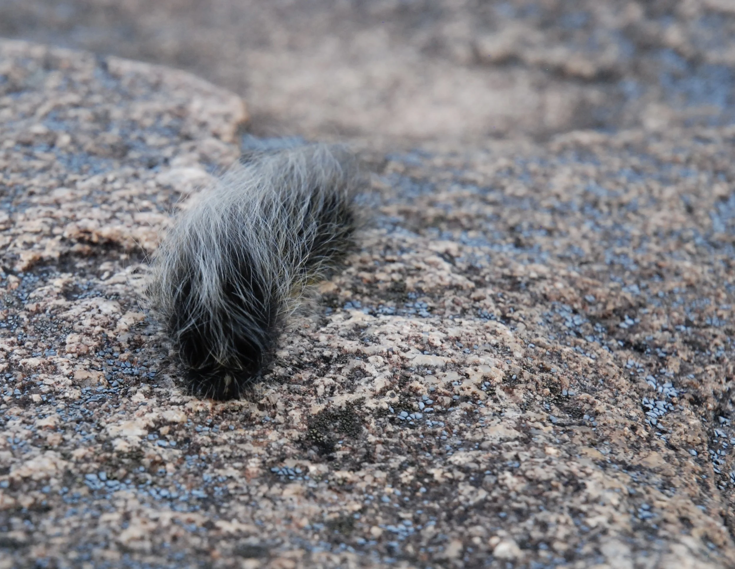 DSC_1315.JPG