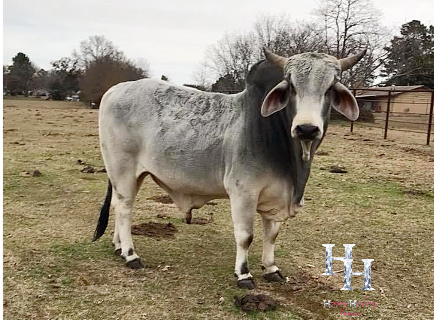 Resize image project (35).png