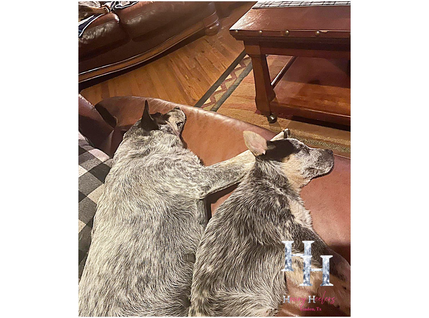 Resize image project (27).png