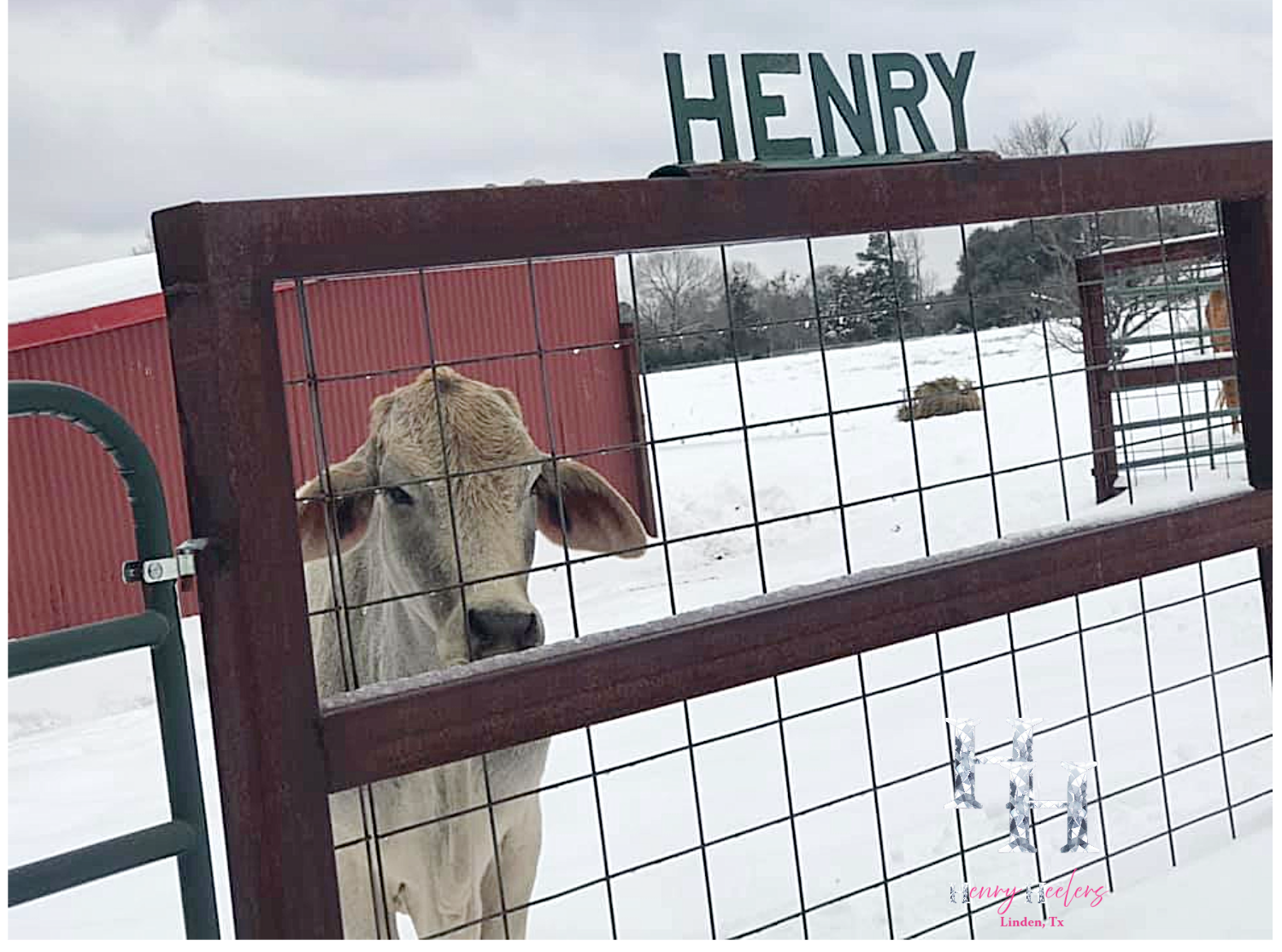 Resize image project (33).png