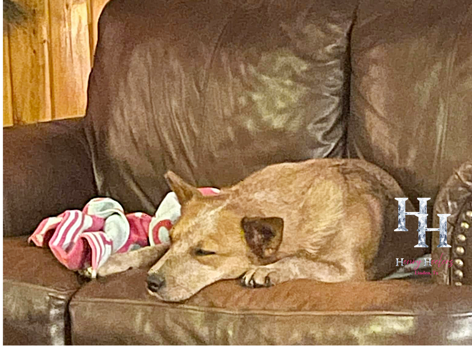 Resize image project (29).png