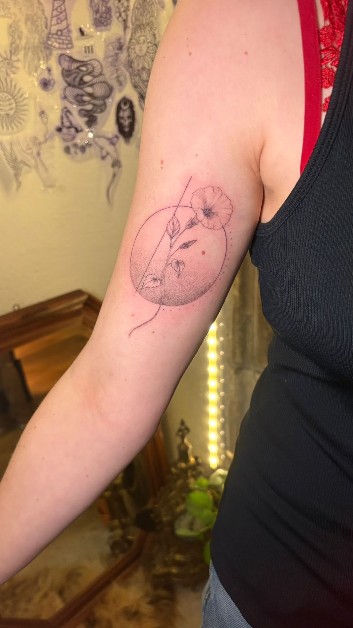 WhatsApp Image 2025-12-19 at 10.53.58 (3).jpeg