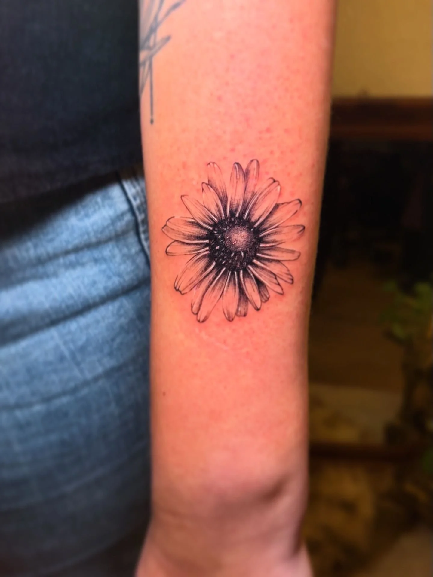 WhatsApp Image 2025-12-19 at 10.58.57.jpeg